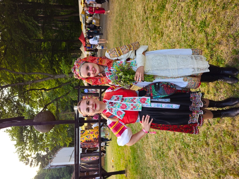 Tulipán, 21. jún 2025